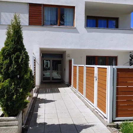 Platan Patio 6 - Berry