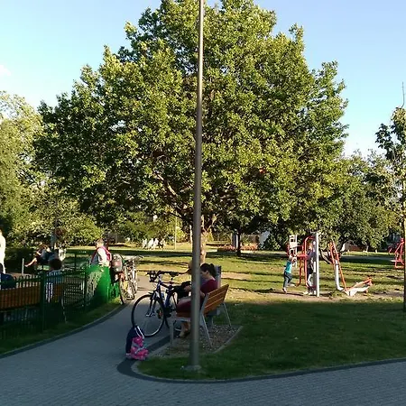 Platan Patio 6 - Berry Daire Swinoujscie