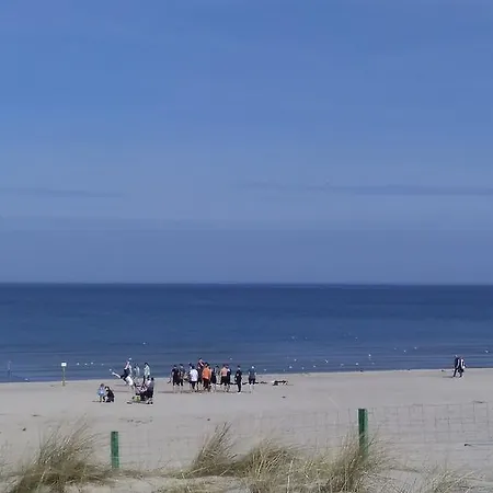 Platan Patio 6 - Berry