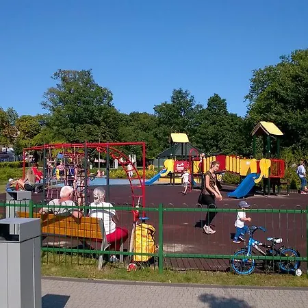 Platan Patio 6 - Berry *