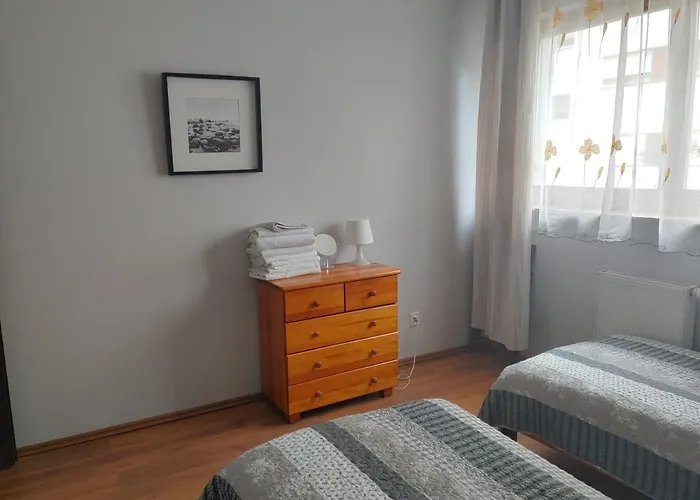 Platan Patio 6 - Berry Świnoujście