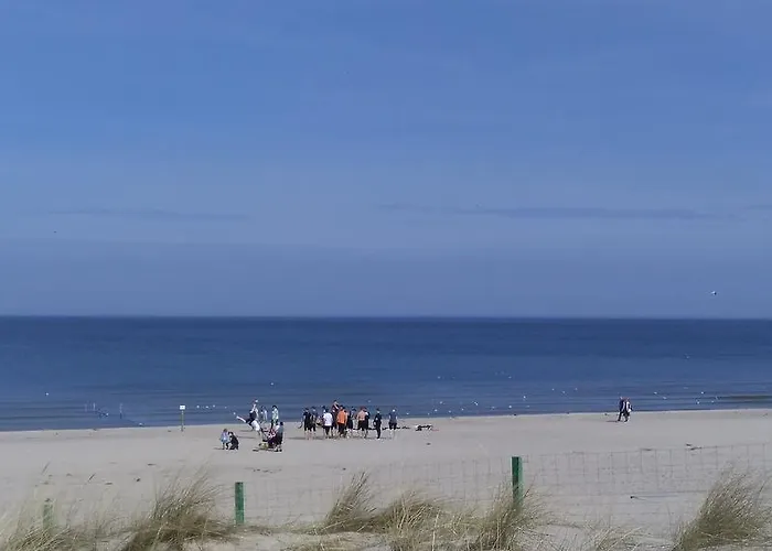 Platan Patio 6 - Berry